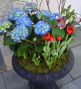containerSpring.jpg