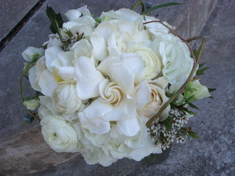 white-gardenia_1