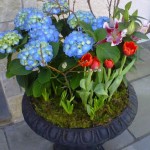 containerGardens4