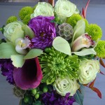 green-and-purple_gallery