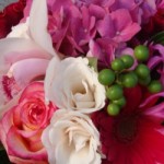 pink-and-white-400x250_1_gallery