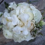 white-gardenia_1_gallery